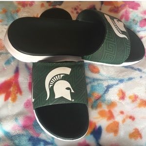 Michigan State University Slides